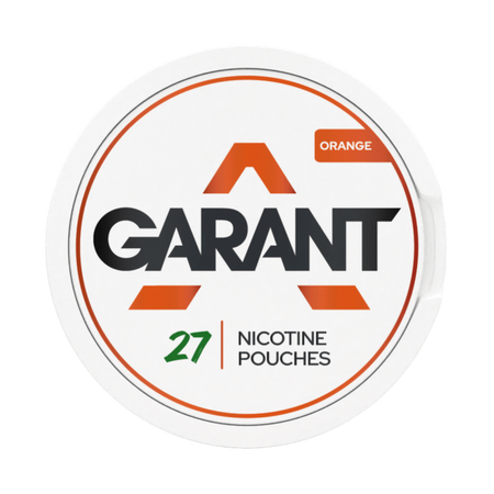 10 X Nikotinové sáčky GARANT (Grant) Regular - Orange 25mg