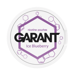 Saszetki nikotynowe GARANT (Grant) Molecule - Ice Blueberry 20mg