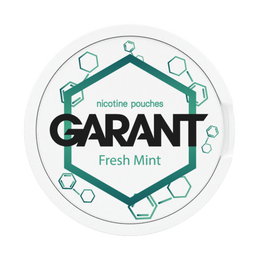 10 X Nikotinbeutel GARANT (Grant) Molecule - Fresh Mint 20mg