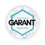 10 X Никотиновые пакетики GARANT (Grant) Molecule - Spearmint 20mg