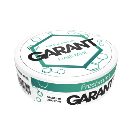 10 X Nicotine pouches GARANT (Grant) Molecule - Fresh Mint 20mg