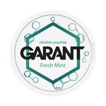10 X Nikotinpárnák GARANT (Grant) Molecule - Fresh Mint 20mg