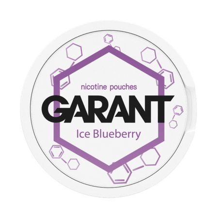 Nicotine pouches GARANT (Grant) Molecule - Ice Blueberry 20mg
