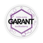 Nikotínové vrecúška GARANT (Grant) Molecule - Ice Blueberry 20mg