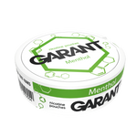 10 X Sachets de nicotine GARANT (Grant) Molecule - Menthol 20mg