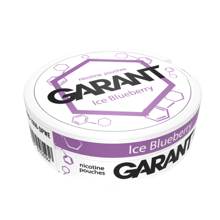 Sachets de nicotine GARANT (Grant) Molecule - Ice Blueberry 20mg