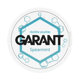 10 X Nicotine pouches GARANT (Grant) Molecule - Spearmint 20mg