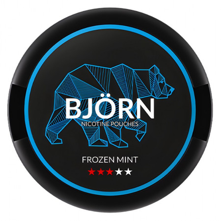 Saszetki nikotynowe BJORN Frozen Mint 9,1mg