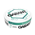 10 X Nicotine pouches GARANT (Grant) Molecule - Fresh Mint 20mg