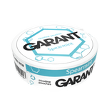 10 X Pliculețe cu nicotină GARANT (Grant) Molecule - Spearmint 20mg