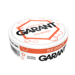 10 X Nikotínové vrecúška GARANT (Grant) Molecule - Ice Peach 20mg