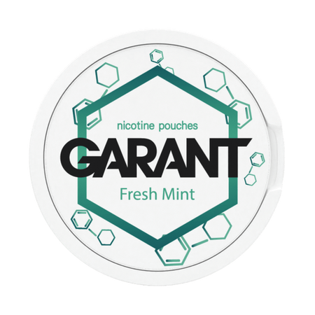 10 X Никотиновые пакетики GARANT (Grant) Molecule - Fresh Mint 20mg
