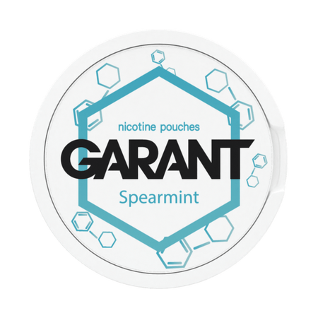 10 X Sachets de nicotine GARANT (Grant) Molecule - Spearmint 20mg